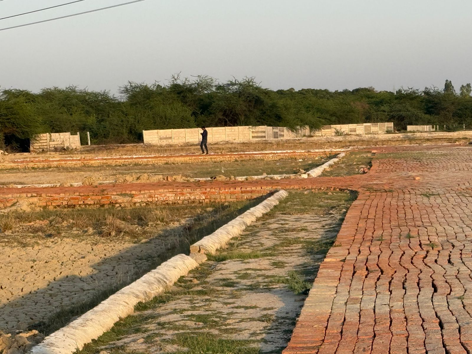 Site Image 1